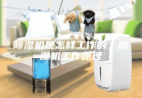 除湿机是怎样工作的，除湿机工作原理