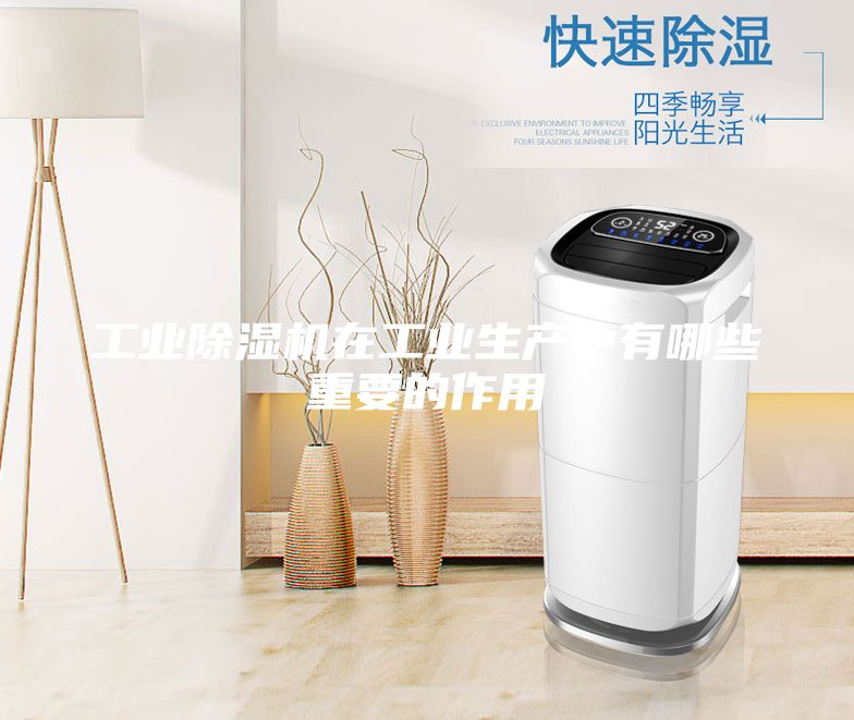 工业除湿机在工业生产中有哪些重要的作用