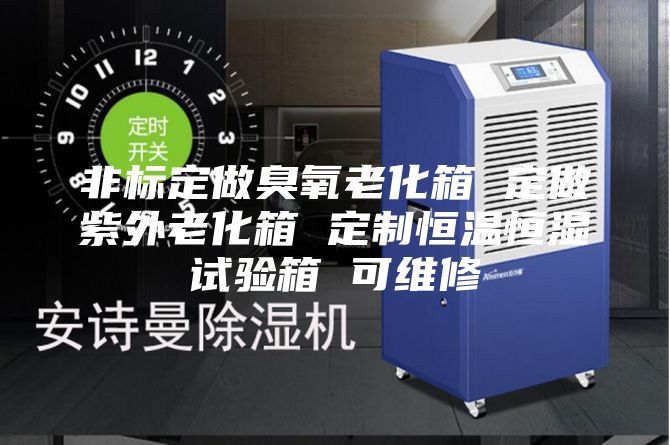 非标定做臭氧老化箱 定做紫外老化箱 定制恒温恒湿试验箱 可维修