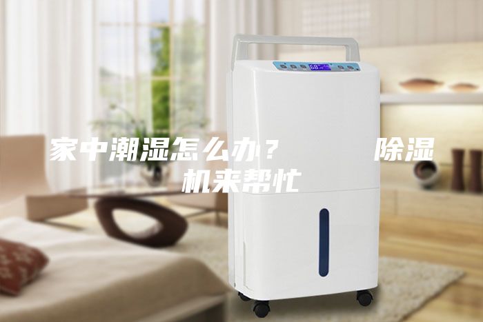 家中潮湿怎么办？    除湿机来帮忙