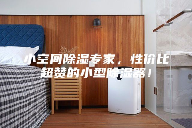 小空间除湿专家，性价比超赞的小型除湿器！