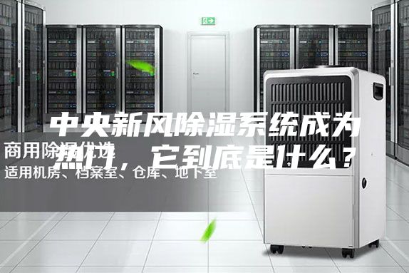 中央新风除湿系统成为热门，它到底是什么？