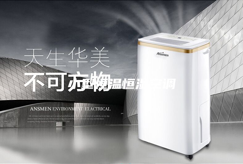 小型恒温恒湿空调