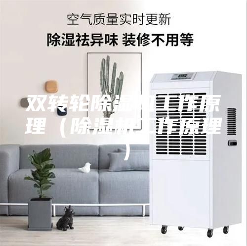 双转轮除湿机工作原理（除湿机工作原理）