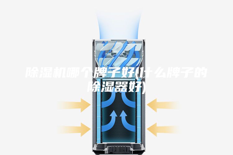 除湿机哪个牌子好(什么牌子的除湿器好)