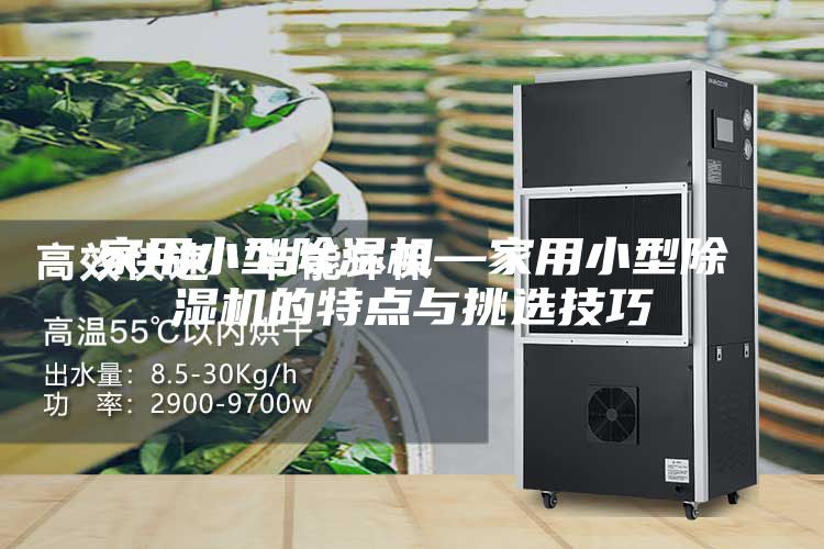 家用小型除湿机—家用小型除湿机的特点与挑选技巧