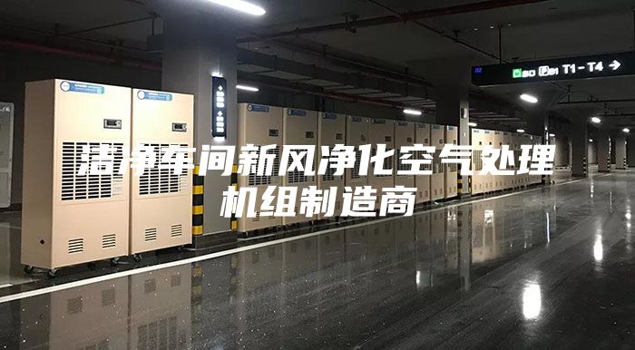 洁净车间新风净化空气处理机组制造商