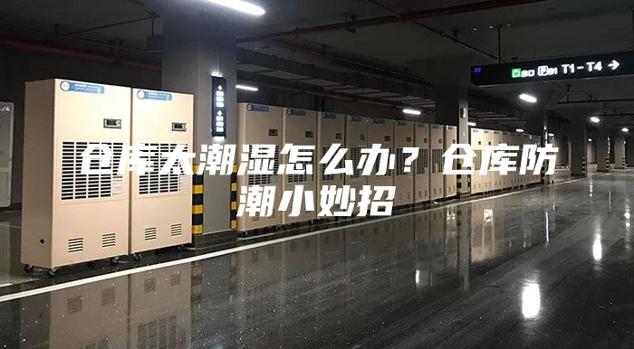 仓库太潮湿怎么办？仓库防潮小妙招