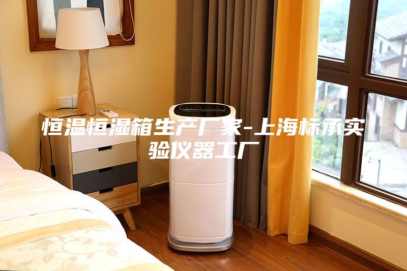 恒温恒湿箱生产厂家-上海标承实验仪器工厂