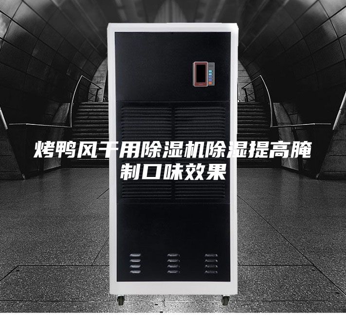烤鸭风干用除湿机除湿提高腌制口味效果