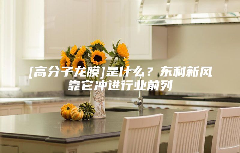 [高分子龙膜]是什么？东利新风靠它冲进行业前列