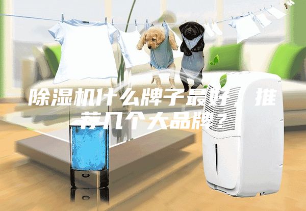 除湿机什么牌子最好，推荐几个大品牌？