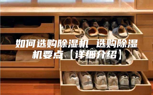 如何选购除湿机 选购除湿机要点【详细介绍】