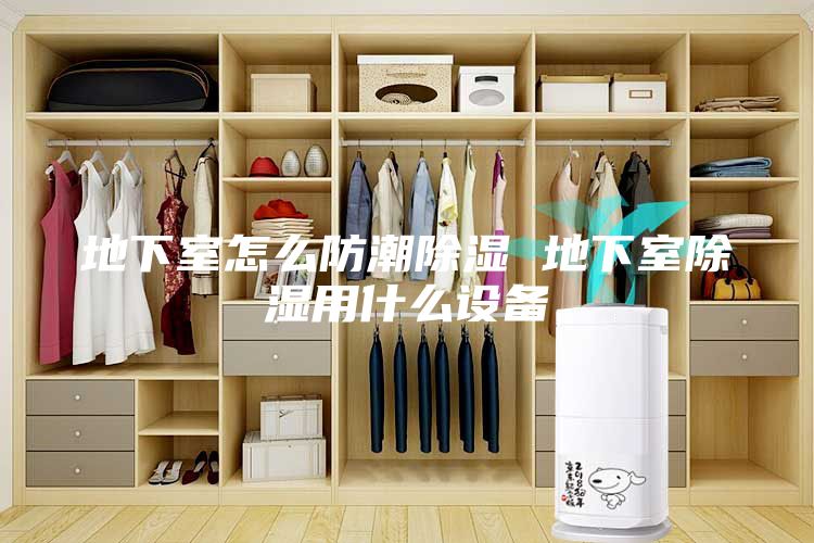 地下室怎么防潮除湿 地下室除湿用什么设备