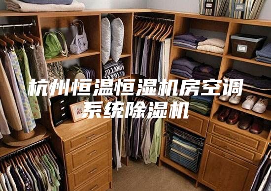 杭州恒温恒湿机房空调系统除湿机