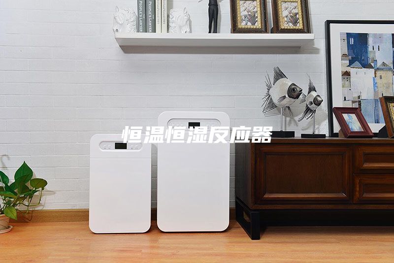 恒温恒湿反应器