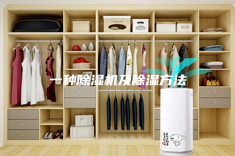 一种除湿机及除湿方法