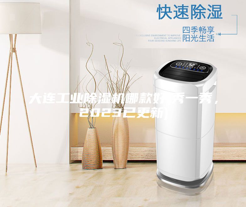 大连工业除湿机哪款好(秀一秀，2023已更新)