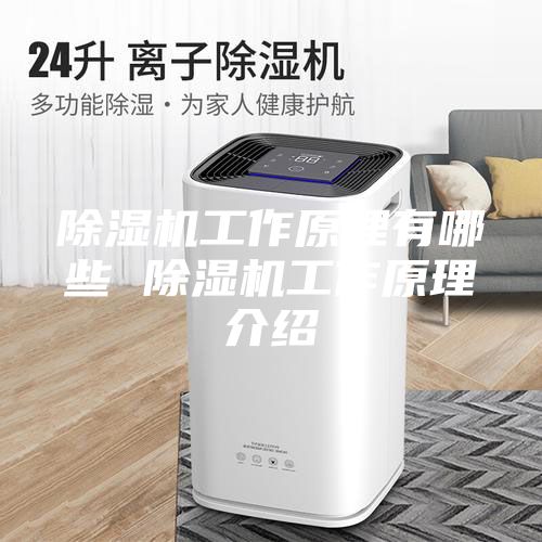 除湿机工作原理有哪些 除湿机工作原理介绍