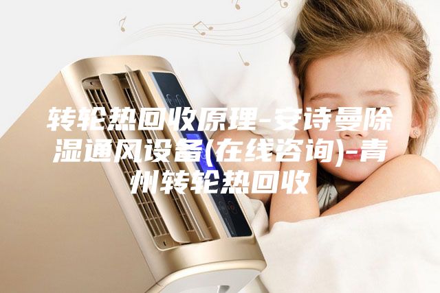 转轮热回收原理-安诗曼除湿通风设备(在线咨询)-青州转轮热回收