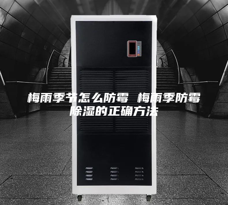 梅雨季节怎么防霉 梅雨季防霉除湿的正确方法