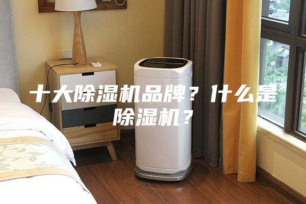 十大除湿机品牌？什么是除湿机？