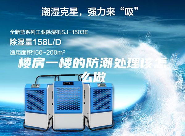 楼房一楼的防潮处理该怎么做