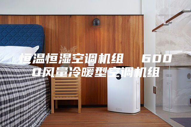 恒温恒湿空调机组  6000风量冷暖型空调机组