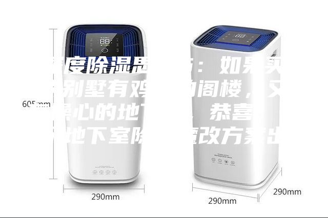 深度除湿思考5：如果买的别墅有鸡肋的阁楼，又有操心的地下室，恭喜，这个地下室除湿魔改方案出现了