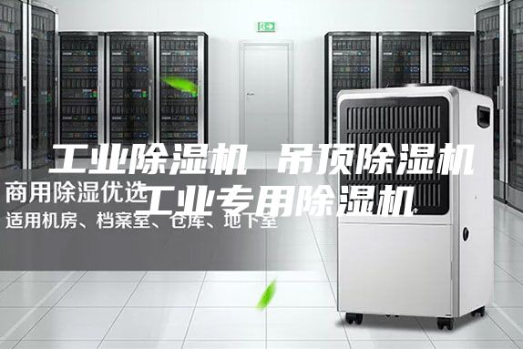 工业除湿机 吊顶除湿机 工业专用除湿机
