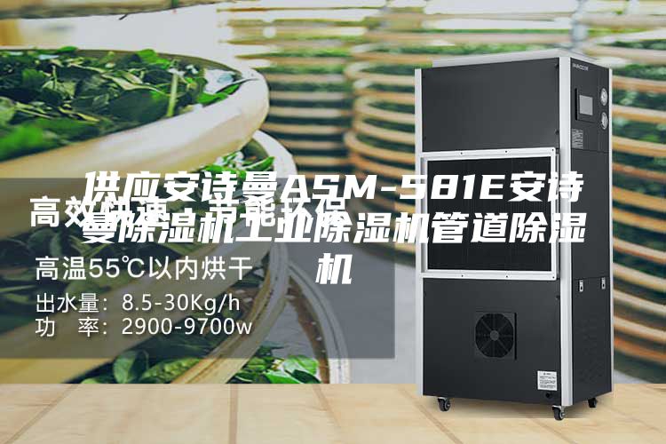 供应安诗曼ASM-581E安诗曼除湿机工业除湿机管道除湿机