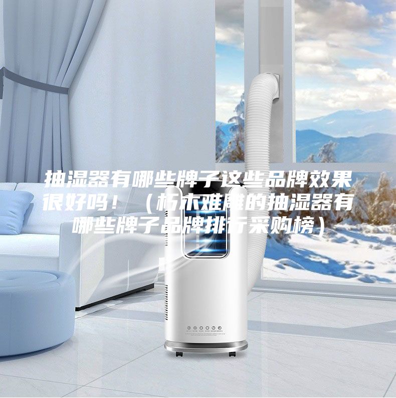 抽湿器有哪些牌子这些品牌效果很好吗！（朽木难雕的抽湿器有哪些牌子品牌排行采购榜）