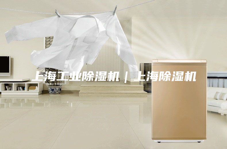 上海工业除湿机｜上海除湿机