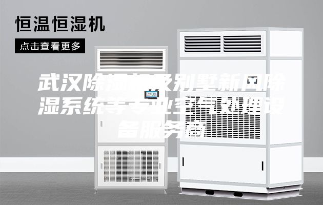 武汉除湿机及别墅新风除湿系统等专业空气处理设备服务商