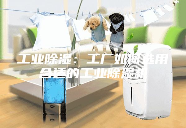 工业除湿：工厂如何选用合适的工业除湿机