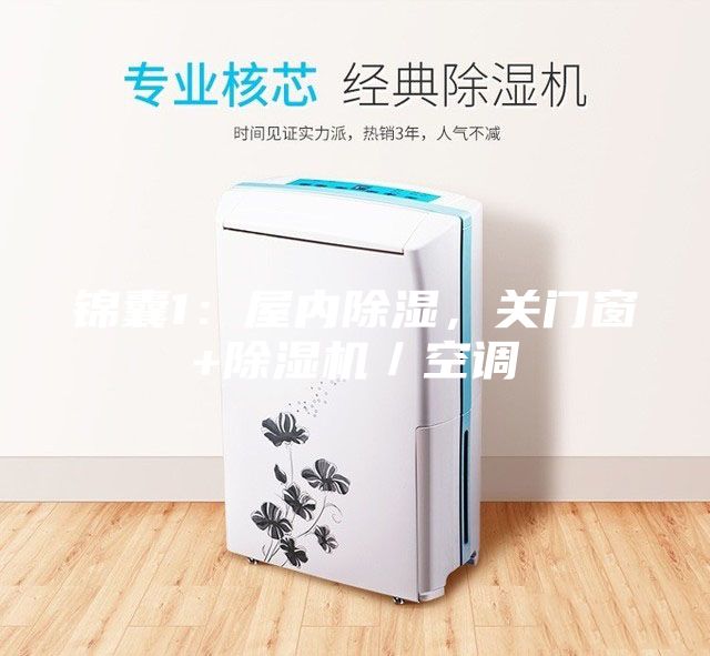 锦囊1：屋内除湿，关门窗+除湿机／空调