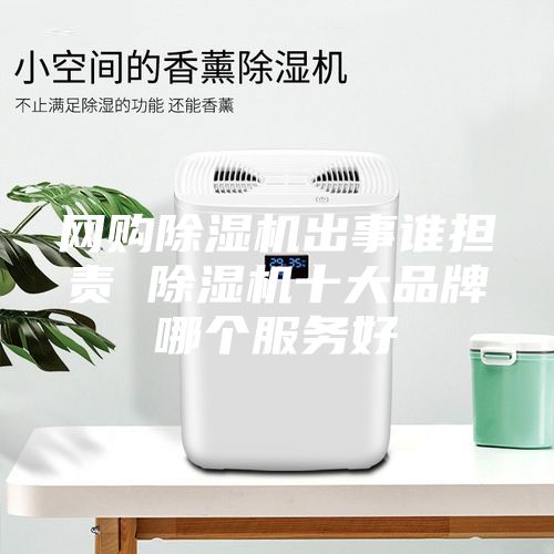网购除湿机出事谁担责 除湿机十大品牌哪个服务好