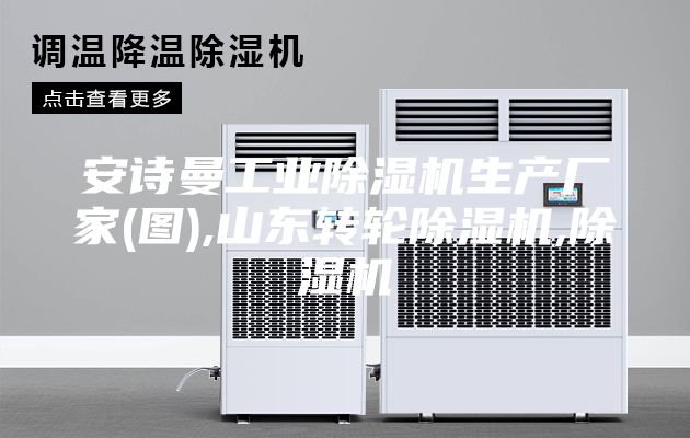 安诗曼工业除湿机生产厂家(图),山东转轮除湿机,除湿机