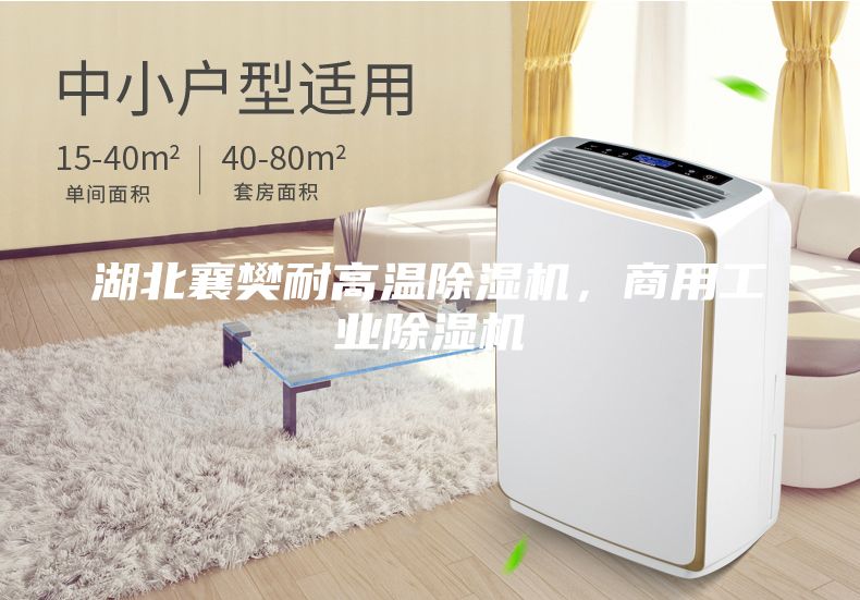 湖北襄樊耐高温除湿机，商用工业除湿机