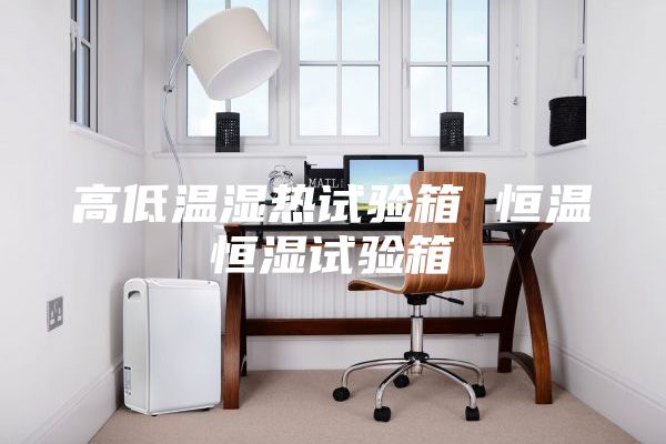 高低温湿热试验箱 恒温恒湿试验箱