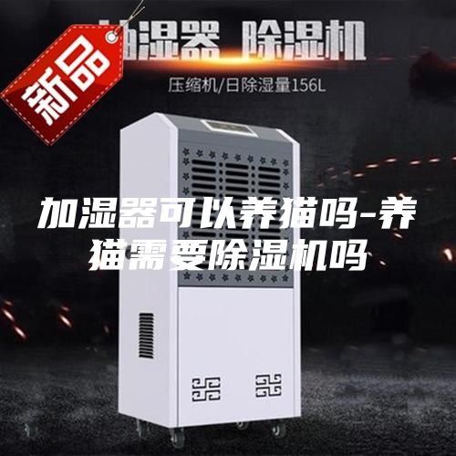 加湿器可以养猫吗-养猫需要除湿机吗