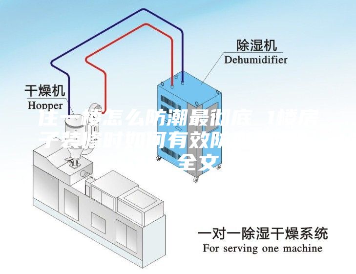 住一楼怎么防潮最彻底 1楼房子装修时如何有效防潮效果好 - 全文