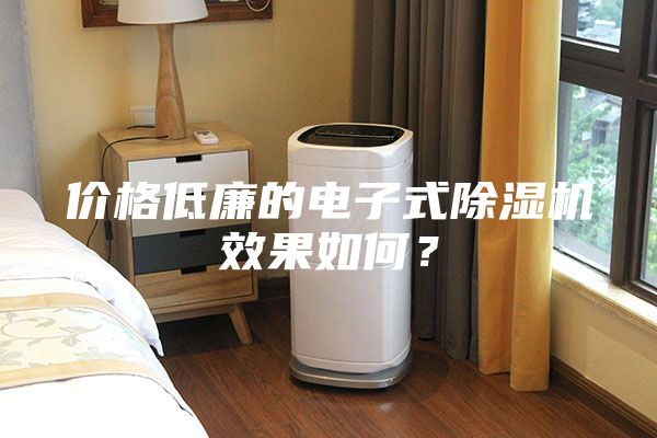 价格低廉的电子式除湿机效果如何？