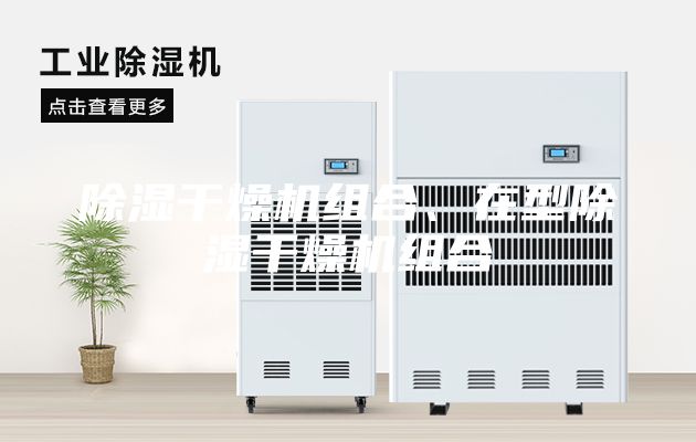 除湿干燥机组合、在型除湿干燥机组合