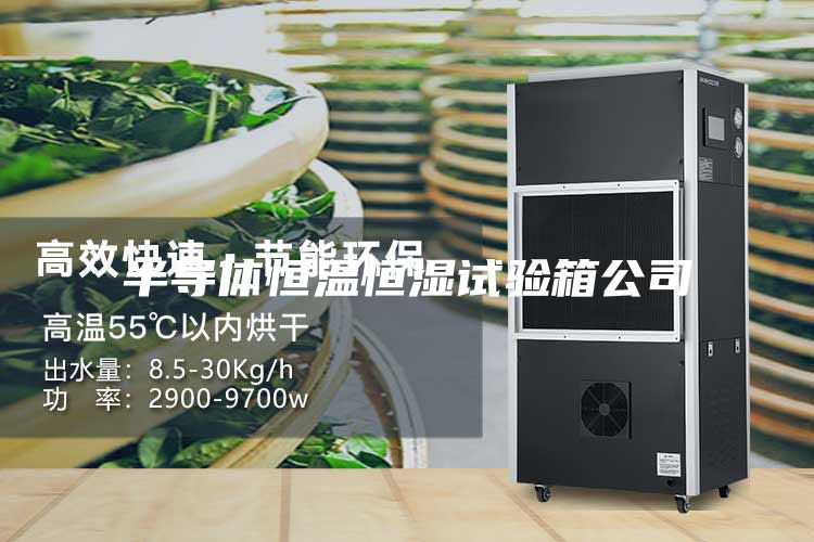 半导体恒温恒湿试验箱公司