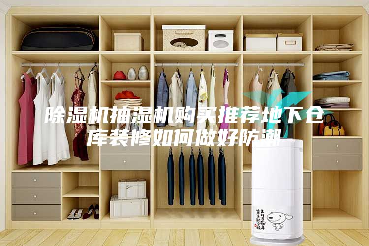除湿机抽湿机购买推荐地下仓库装修如何做好防潮
