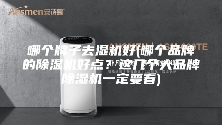哪个牌子去湿机好(哪个品牌的除湿机好点？这几个大品牌除湿机一定要看)