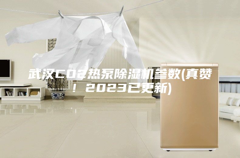 武汉CO2热泵除湿机参数(真赞！2023已更新)