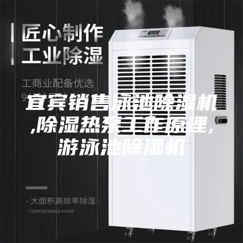 宜宾销售泳池除湿机,除湿热泵工作原理,游泳池除湿机