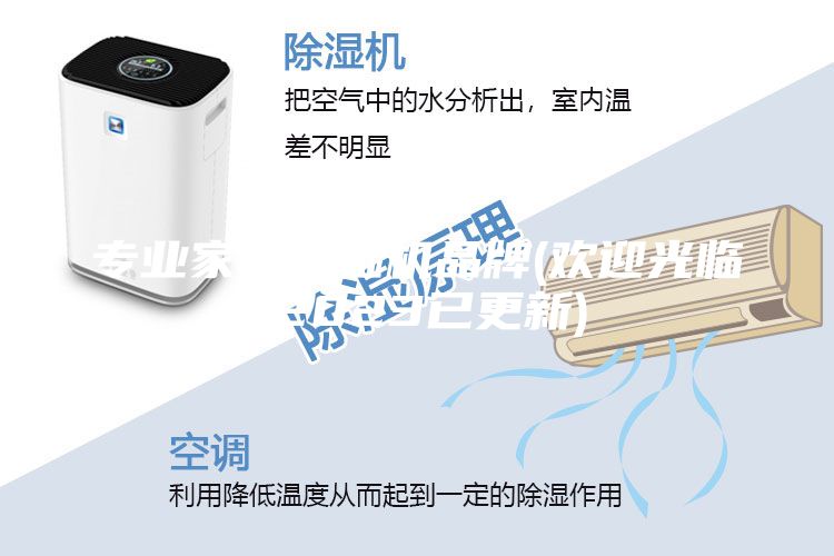 专业家用除湿机品牌(欢迎光临-2023已更新)